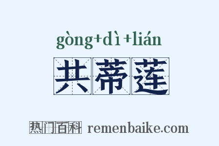 共蒂莲是什么意思的图片